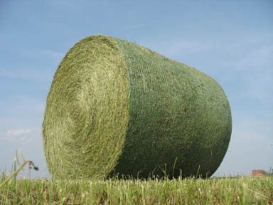 What a Hay Knife Does., I have round bales of hay so when I…