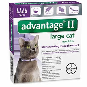 Advantage large outlet cat 4 pack